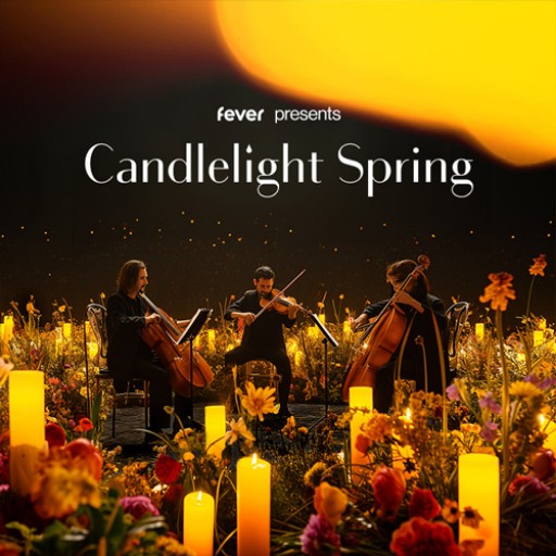Candlelight: A Tribute to Beyonce concerts in Atlantic City.